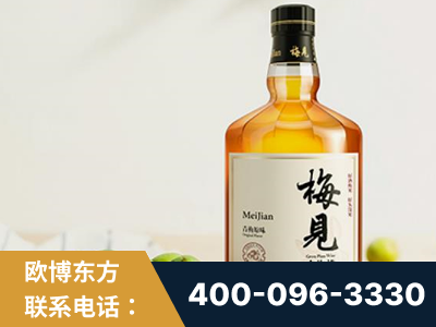 玉门-梅见青梅酒